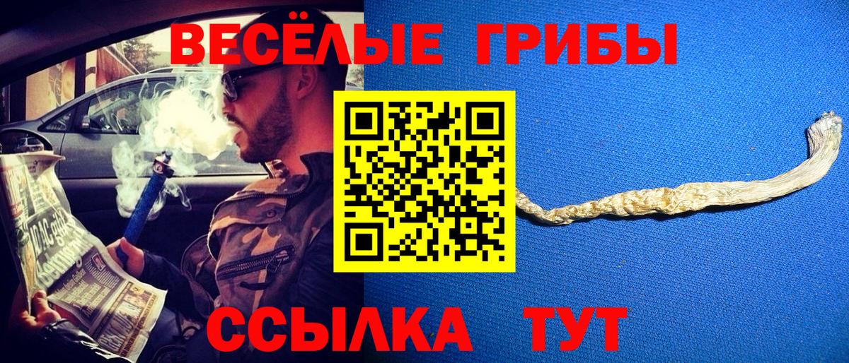 хочу   Галлюциногенные грибы GOLDEN TEACHER  Вход с VPN  Астрахань  Псилоцибиновые грибы GOLDEN TEACHER 