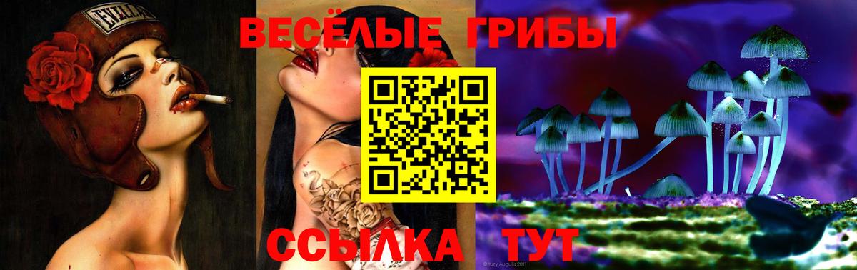 Галлюциногенные грибы Magic Shrooms Астрахань